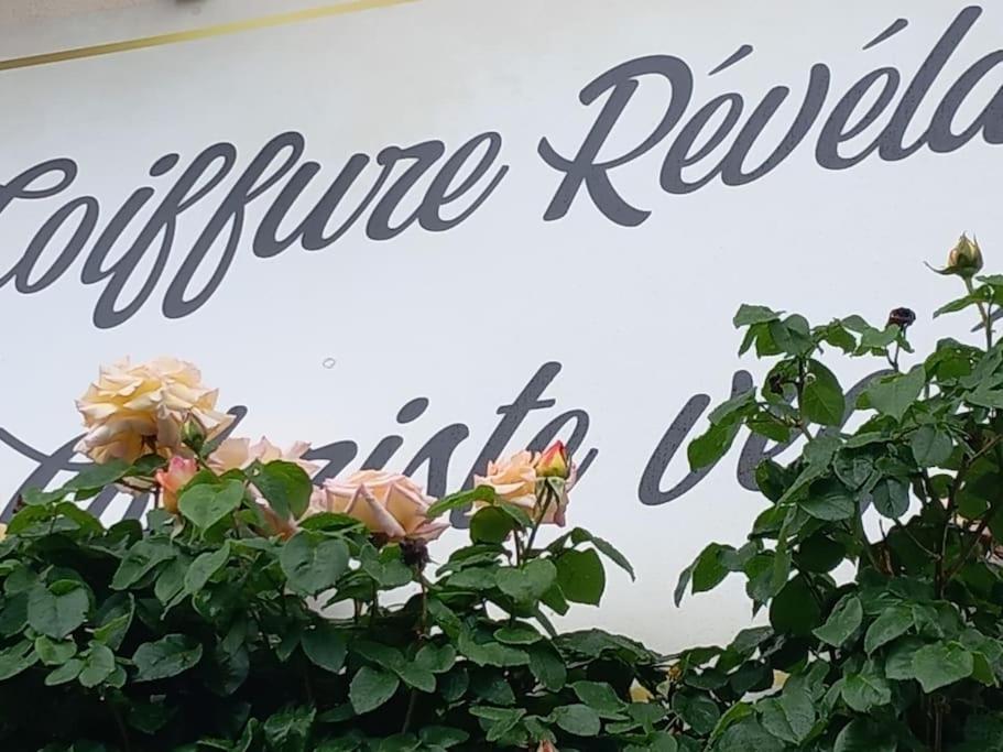 L'atelier Des Reves Un Moment Magique Prive * Beaune (Cote d'Or)